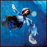 Thumbnail of the photograph The strings are important Angel.