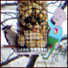 Collaboration Image