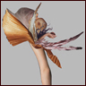 Thumbnail image of a flower paper doll.