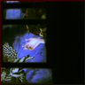 Thumbnail image of the inside of the diorama.