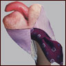Thumbnail image of a flower paper doll.